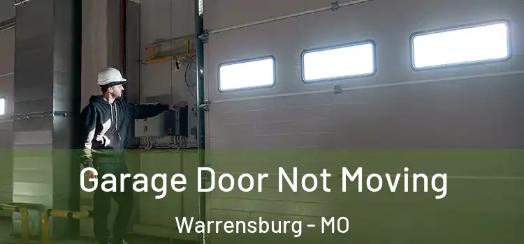  Garage Door Not Moving Warrensburg - MO