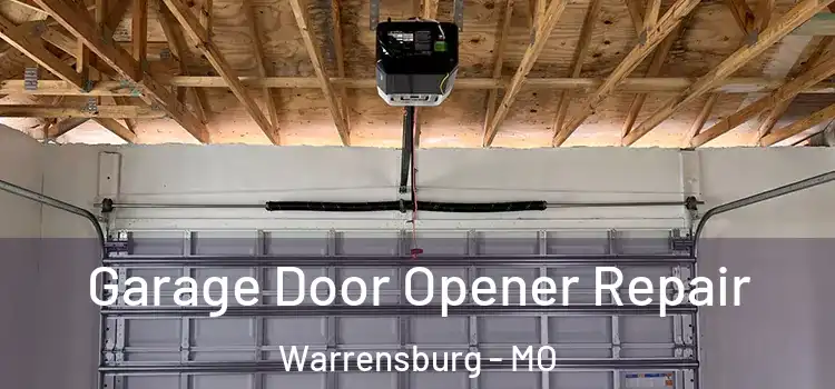  Garage Door Opener Repair Warrensburg - MO