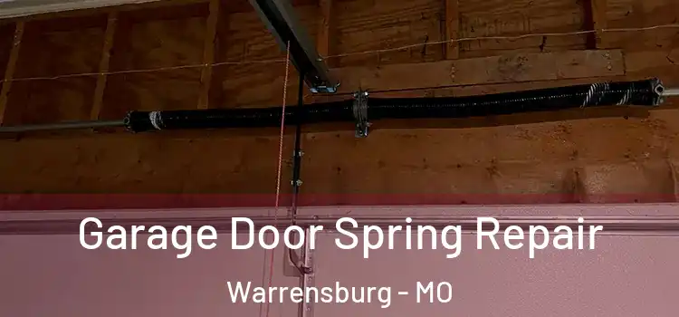  Garage Door Spring Repair Warrensburg - MO