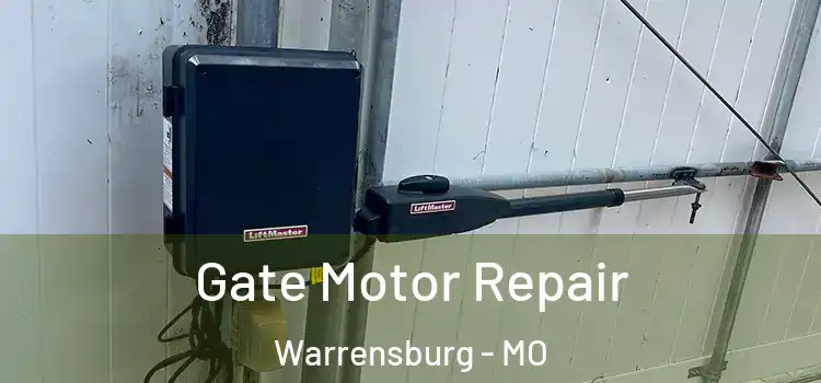 Gate Motor Repair Warrensburg - MO