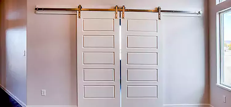 Glass Barn Door with Installation Hardware Kit Warrensburg