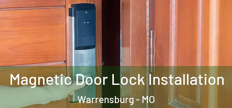  Magnetic Door Lock Installation Warrensburg - MO