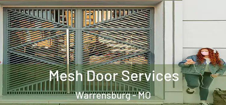 Mesh Door Services Warrensburg - MO