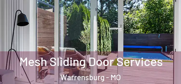 Mesh Sliding Door Services Warrensburg - MO