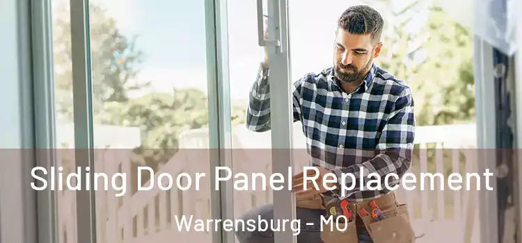  Sliding Door Panel Replacement Warrensburg - MO